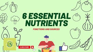6 Essential Nutrients and Their Functions and Sources