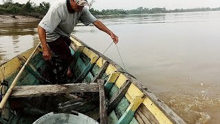 Merawai ikan sembilang bersama ayah hasilnya memang terbaiklah..