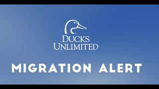 Migration Alert: South Dakota Braces for Frigid Temps