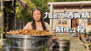 隐居终南山小院，九蒸九晒黄精制作过程，纯野生