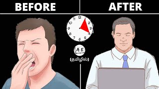 HOW TO BE MORE PRODUCTIVE IN THE AFTERNOON TAMIL |When by daniel pink book review| almost everything