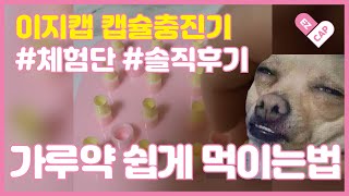 고양이 강아지 가루약 쉽게 먹이기 [이지캡 캡슐충진기 : 가루약 쉽게 먹이는법]