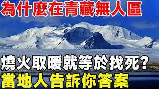 為什麼在青藏無人區，燒火取暖等於在找死？當地人告訴你答案#科普頻道 #科普知識#青藏無人區#可可西里