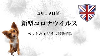 【獣医師が解説】新型コロナウイルス最新情報　ポメラニアン続報　数千頭のペットを検査した結果は？　イギリスの現状・動物病院にも影響が？