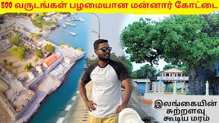 இலங்கை மன்னாரின் பழமையான கோட்டையும், பெருக்க மரமும் | Mannar fort and Baobab Tree | மகிழன் - Mahilan