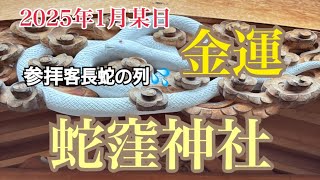 【蛇窪神社⛩️初詣】【金運】2025年1月／途中3倍速／縦長動画