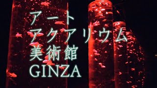 アートアクアリウム美術館 GINZA   Art Aquarium Museum GINZA