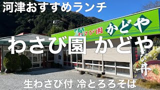 わさび園 かどや 2021/12 生わさび付 冷とろろそば 1050円。