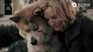Hachi: A Dog's Tale 2009 - To Train Together - Jan A.P. Kaczmarek