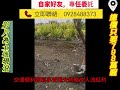 好地推薦~田尾公路花園近郊 610 坪優質農地出售 農電、地下水、8米活路一應俱全