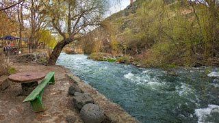 Ashtaraki Dzor 🌳😍Beautiful place for picnic