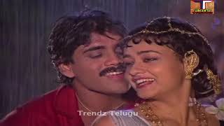 Kurise meghagalu Video song Kirayi Dada Movie songs |Melody song | Nagarjuna | Amala | Trendz Telugu