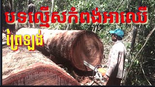 ចុះល្បាតព្រៃឡង់ជួបបទល្មើសកំពង់អាឈើធំណាស់/ The Patroll Prey lang Meet Illigal cutting tree very big