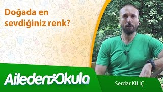 Doğada en sevdiğiniz renk ?