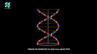 THE PRECISE 3D GEOMETRY for DNA using QUAD STEP.