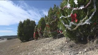 Austinites begin decorating Loop 360 trees for Christmas | KVUE