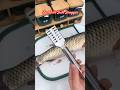 🤩 Peel Fish Skin at Home 🤩Steel Fish Scale Scrapper 🐠🎣 #gadgets