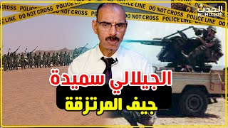 الجيلالي سميدة..هكذا كنا نجد جـ ـيف المـ ـرتزقة/شفت العجب العجاب...