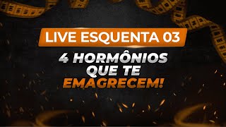 🔥 Esquenta 03 🔥 - 4 hormônios que te emagrecem