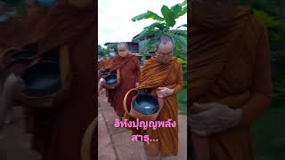 เอาบุญใส่บาตรเช้าวันอังคาร 19/10/64 วัดกุดเรือคำ มาฝากค่ะ สาธุ...