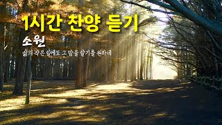 찬양 1시간 듣기 | 소원 | 삶의 작은 일에도 그 맘을 알기를 원하네