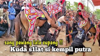 Atraksi kuda silat si kempil putra | kuda renggong cuta muda di rancabeureum