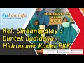 DiskominfoTV - Kel. Sindangpalay : Bimtek Budidaya Hidroponik Kader PKK, 21-9-20