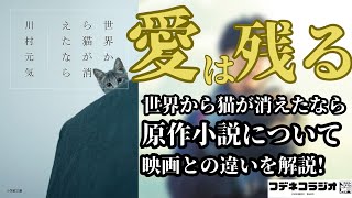 【世界から猫が消えたなら】死ぬとは愛を残すこと？小説・映画を交えて、セカネコが描く「愛」とは何かを語ります！！【小説考察】 #8