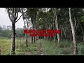 Elzio liat mama || Short Horror Movie || Directed Widodo