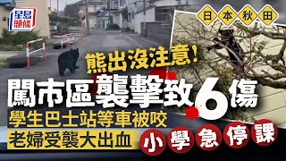 熊出沒注意｜日本秋田熊周街襲擊釀6傷 小學急停課避險 日本｜秋田縣｜熊｜攻擊｜受傷｜停課｜星島頭條｜國際