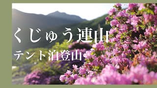 【テント泊登山】ミヤマキリシマを求めてくじゅう連山へ 法華院温泉山荘でソロテント泊