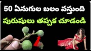 50 ఏనుగుల బలం వస్తుందివివాహమైన ప్రతి ఒక్కరూ తప్పక చూడండి