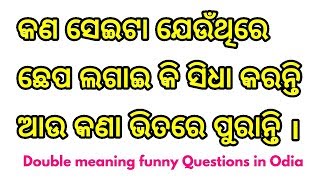 Double Meaning Question In Odia Riddles In Odia Paheliyan In