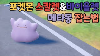 [포켓몬 스칼렛\u0026바이올렛] 메타몽 잡는법.