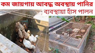 কম জায়গায় আবদ্ধ অবস্থায় পানির ব্যবস্থায় হাঁস পালন।হাঁস পালনের পদ্ধতি।হাঁসের খামার। Duck farm