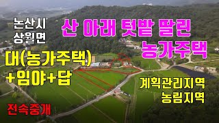 (가격 대폭 인하)논산시 상월면 대(농가주택)+임야+답  매매. 매물183번(전속중개)