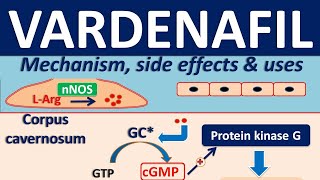 Vardenafil - Mechanism, side effects, drug interactions and clinical uses