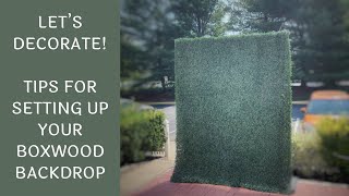 Tips for setting up your boxwood backdrop indoors and outdoors