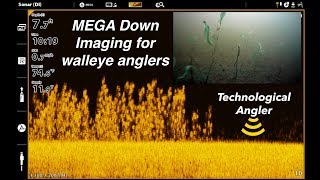 MEGA Down Imaging for walleye anglers | The Technological Angler