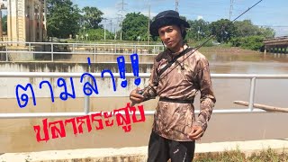 EP.2 (อยากตก) 1วัน ตามล่าหาปลากระสูบ #นครนายก #ตกปลา #ปลากระสูบ