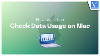 How To Check Data Usage On Mac - No External App Required