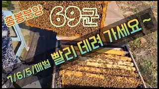 (((판매완료)))경북 의성에서 7/6/5매벌 69군 소개합니다 ~