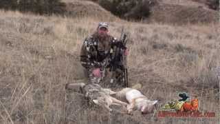 Predator Down Coyote Hunt Double Killed