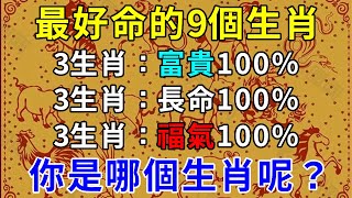 財運會爆發的不可收拾，天生最好命！這些生肖命好福氣大，一生富貴長壽下麵一起來看看吧，錢多的怎麼花都花不完，哪些生肖好命又壽長呢【上善若水】#生肖 #風水 #運勢 #財運