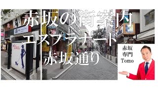 エスプラナード赤坂通り（田町通り）| 赤坂の街案内シリーズ | 赤坂専門 Tomo Real Estate