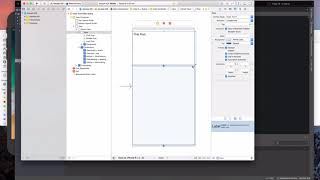 Xaarin.ios -Dynamic ScrollView