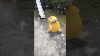 ゴンベ探してたら、コダックに会う！ #japan #pokemon #ポケモン #ゴンベ #ポケモンgo #コダック #shorts #short