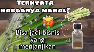 CARA MEMBUAT MINYAK SEREH DENGAN PROSES DESTILASI