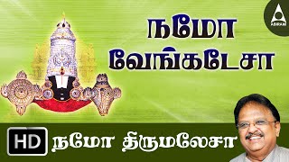 Namo Venkatesa - Namo Thirumalesa - Song Of Lord Venkatesa - Tamil Devotional Song