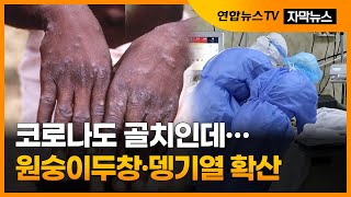 [자막뉴스] 코로나도 골치인데 원숭이두창·뎅기열 확산…각국 비상 / 연합뉴스TV (YonhapnewsTV)